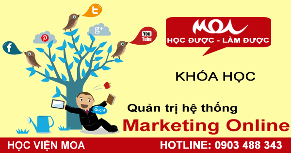 quan-tri-he-thong-marketing-online